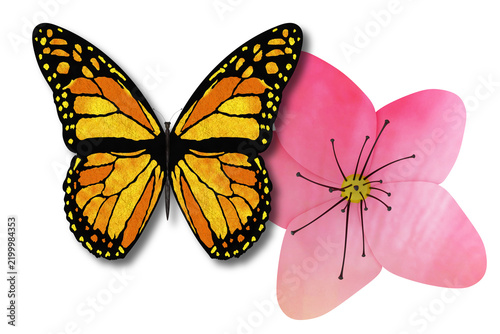 PNG. Illustrazione 3D. Primavera, estate. Fiore e farfalla su sfondo trasparente . Fiore e farfalla , sullo sfondo trasparente.