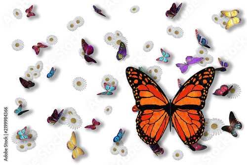 PNG. Illustrazione 3D. Primavera, estate. Fiori e farfalle su sfondo trasparente . Campo di erba con fiori colorati e farfalle, sullo sfondo trasparente.