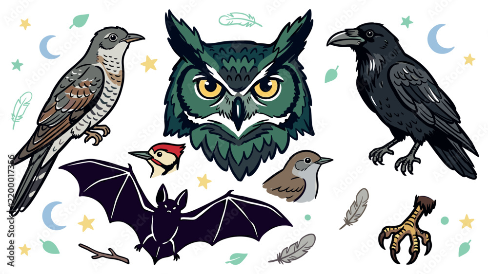 Obraz premium Birds and nocturnal wildlife illustration with owl raven bat and feathers for print design in detailed hand drawn style