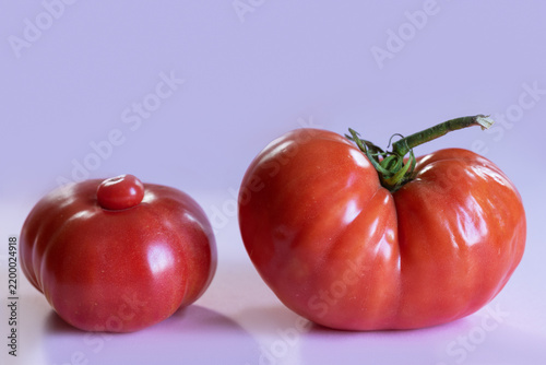 Two unusual, naturally misshapen ripe red tomatoes on lavender background, showing irregular forms and pronounced lobes. One tomato has small secondary growth on top, creating distinctive appearance