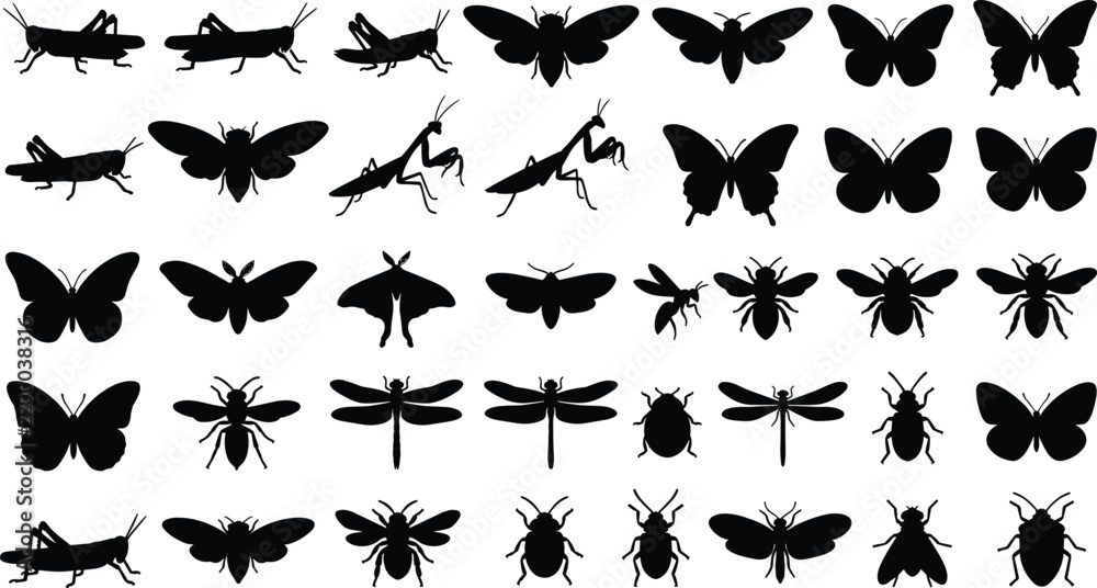 Fototapeta premium Collection of insect silhouettes featuring butterflies, bees, dragonflies, and beetles on white background