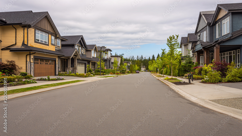 Obraz premium quiet modern suburban residential street with attractive contemporary family homes, mature landscaping, realistic neighborhood environment, natural daylight,
