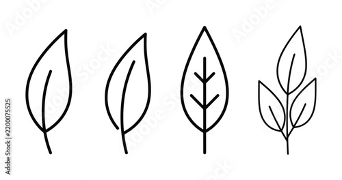 Set of four minimalist hand-drawn leaf on a white background