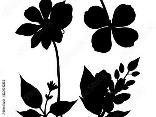 Silhouette of three black flowers with varied petal shapes and leaf arrangements on a white background editable EPS vector, ||petals, silhouettes