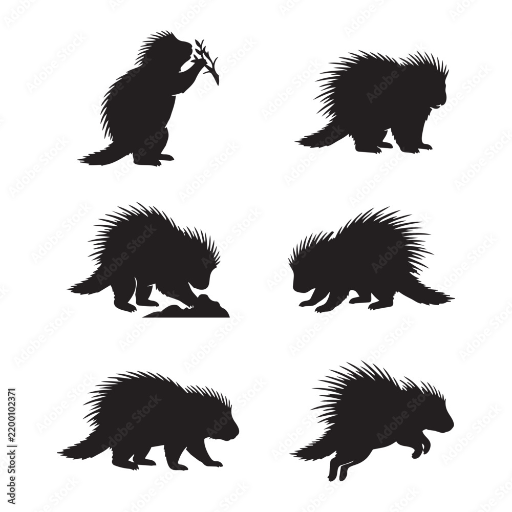 Obraz premium Set of Porcupine silhouette designs