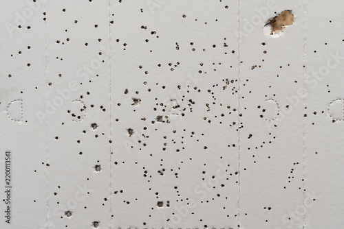 Close up macro view of cardboard shooting target perforated with small birdshot pellets pattern from shotgun blast for ballistic testing and spread evaluation practice.