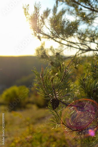 Beautiful rolling hills in autumn light