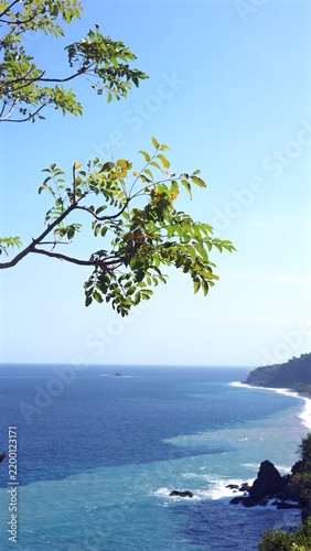 Tree branch with fresh foliage hangs over deep blue water and rocky beach. Sunlit coastal view feels tranquil, showing bright sky, surf line and remote offshore rock beyond green leaves.