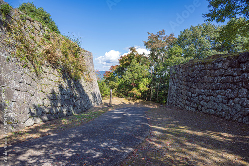 Tapety artystyczne 大分 岡城 下原門跡
