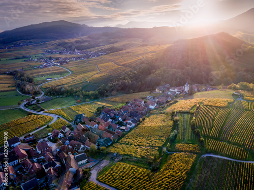 FRANCE ALSACE BAS-RHIN 67 AERIAL VIEW OF THE ITTERSWILLER VINEYARD IN AUTUMN AT SUNRISE