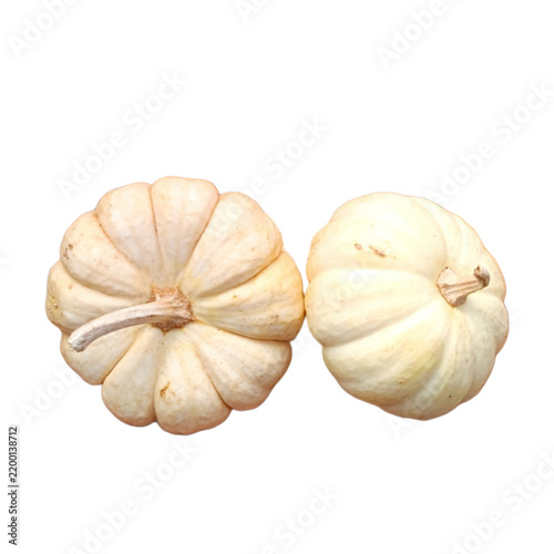 White Decorative Pumpkins for Autumn Seasonal Decor