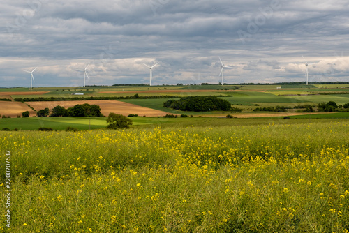 Parc d'éoliennes installé au milieu d'un paysage agricole composé de champs et de prairies sous un ciel nuageux.
