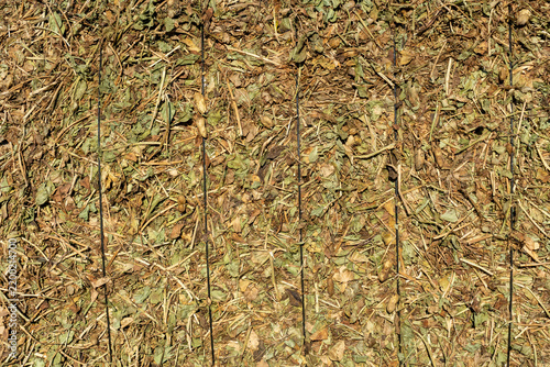 Agricultural Texture: Detailed Side Surface Pattern of a Compressed Peanut Plant Hay Bale