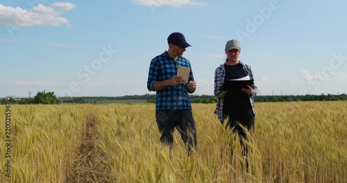 Farmer and agronomist inspect wheat field with tablet during crop inspection. Colleagues walk through golden grain in sunny summer landscape. Agriculture technology supports sustainable farming.