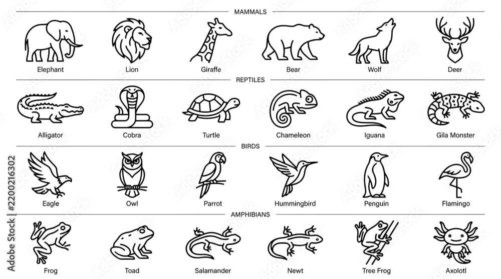 Obraz premium Set of Animal Icons Isolated on Transparent Background