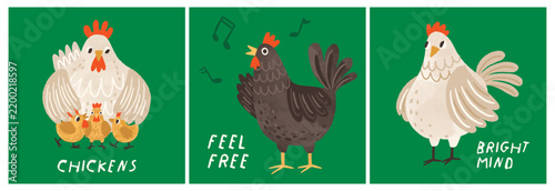 Cute hens and chicken, farm animals on square card backgrounds. Cute farm pou...
