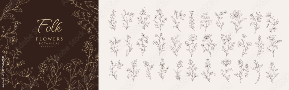 Obraz premium Set of whimsy flowers and brunch. Botanic folk ethnic design elements for decoration print or embroidery