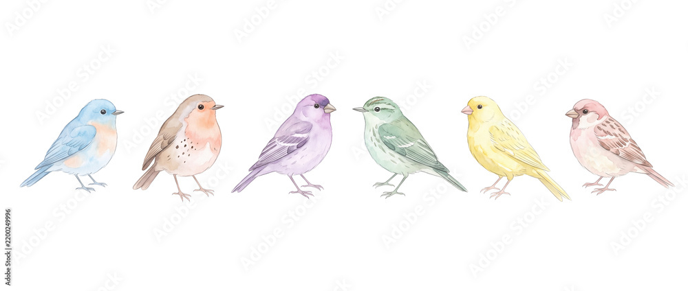 Fototapeta premium Watercolor birds set colorful songbirds isolated on black background horizontal row, pastel songbird clip art collection, delicate hand painted avian wildlife design element for spring banner art.