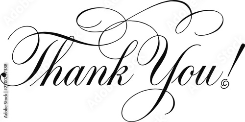 Elegant calligraphy thank you text design on a plain white background