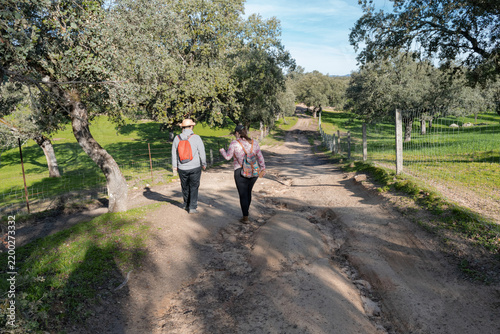 Foto Friends set out on a hiking trail at daybreak, walking through an expansive wooded pasture of holm and cork oaks