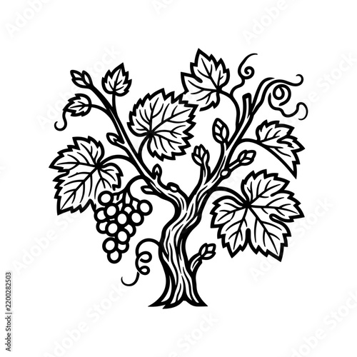 Stylized Grapevine with Clusters of Grapes and Leaves.
