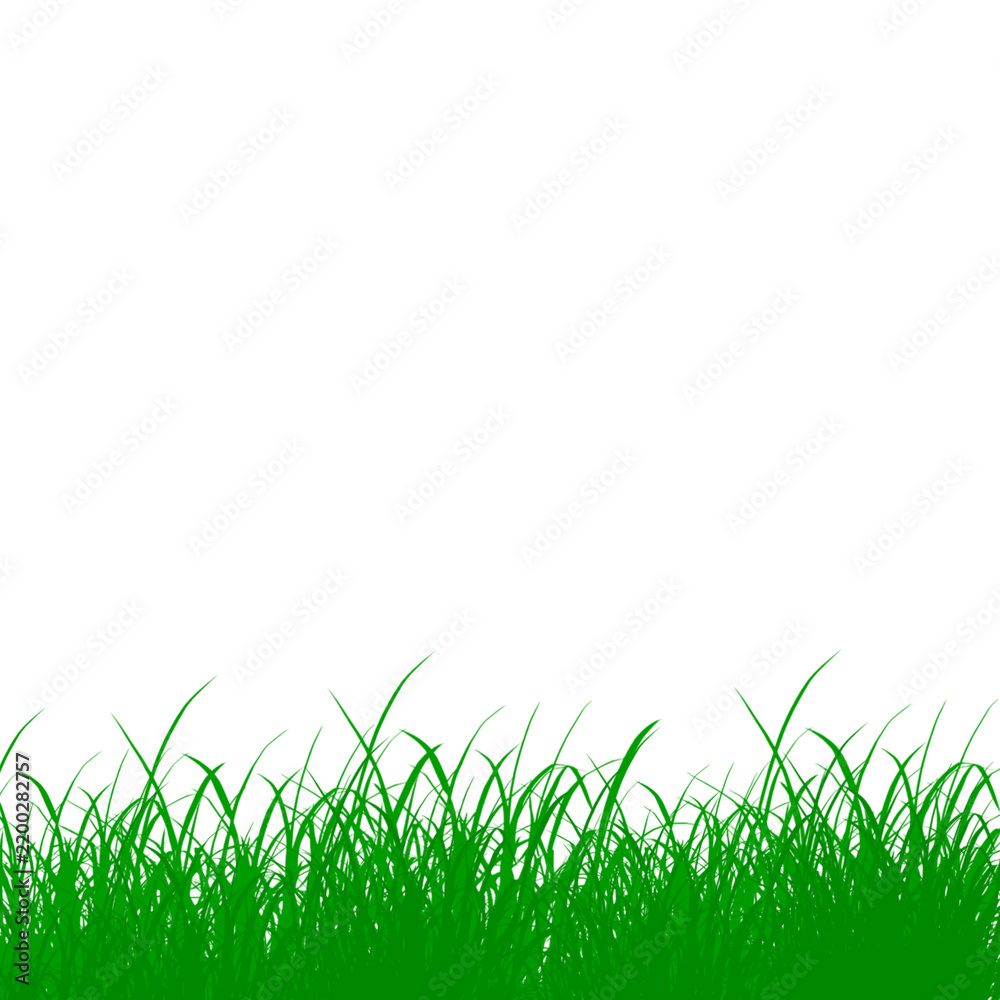 Obraz premium Green grass tuft isolated on transparent background