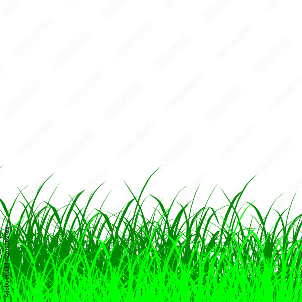 Fototapeta premium Green grass tuft isolated on transparent background