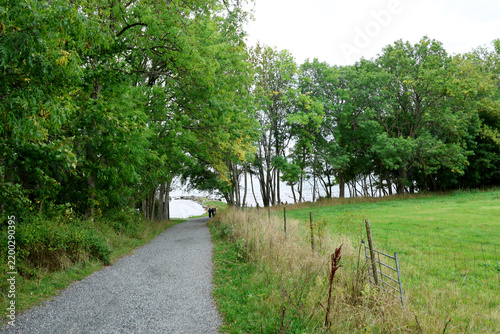 Naklejka Path down to the sea