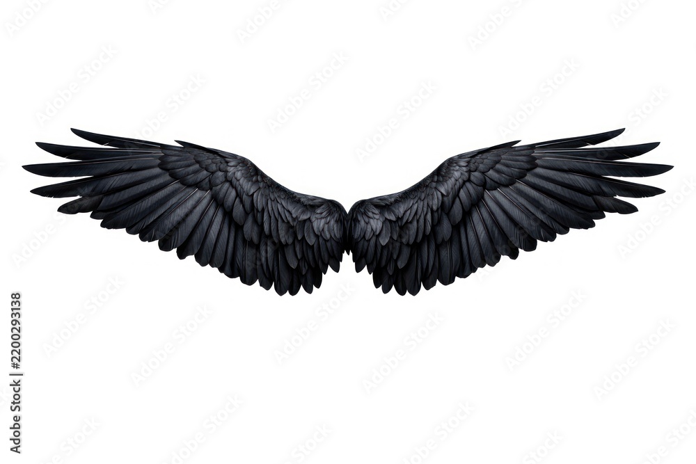 Fototapeta premium Majestic black angel wings spread