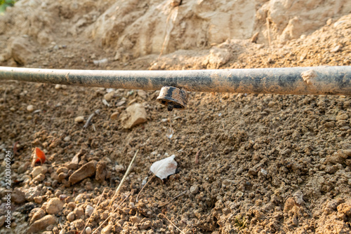 Fotografie Drip irrigation emitter dripping water on soil in close-up