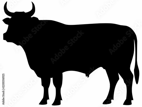 Horned Cattle Standing Side View Silhouette