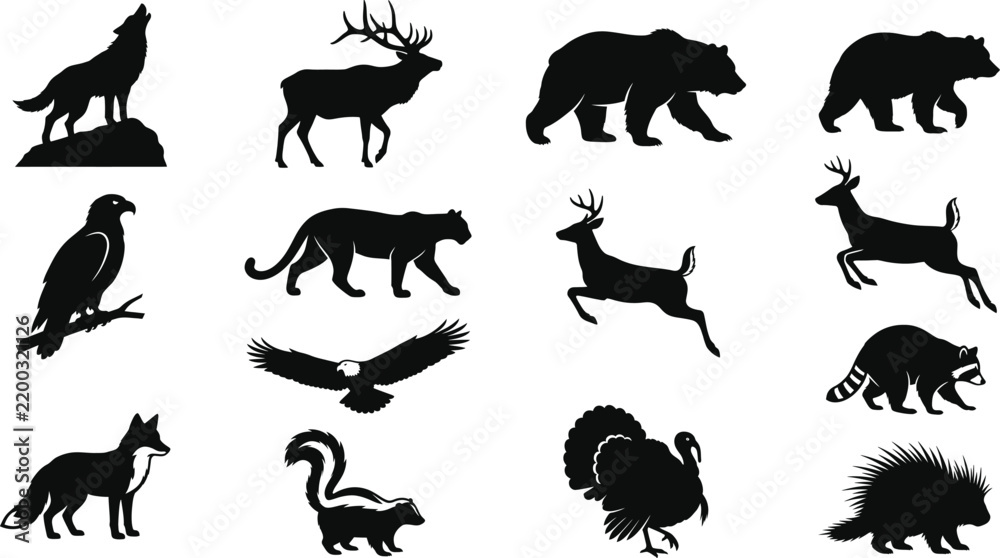 Obraz premium Set of black silhouettes of north american wildlife including wolf, bear, deer, eagle, mountain lion, raccoon, skunk, turkey, and porcupine