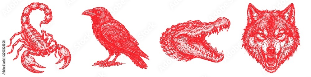 Obraz premium Halftone stipple dotted retro grunge transparent scorpion raven alligator wolf graphic set