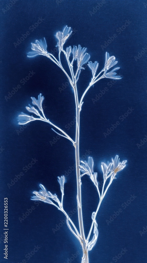 Obraz premium Ethereal blue floral silhouette on dark background, perfect for mobile wallpaper.