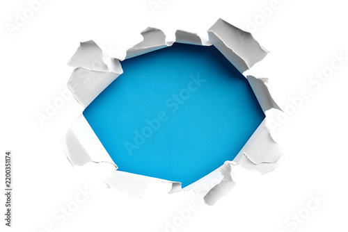 Vibrant Green Grass Clump Tuft Isolated on Clean White Background Stock Photo   