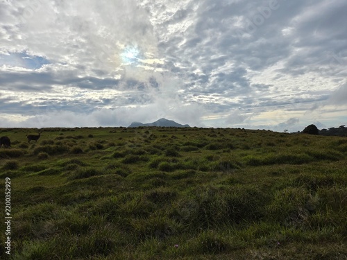 Open montane grassland with distant mountain beneath dramatic clouds at Horton Plains Sri Lanka