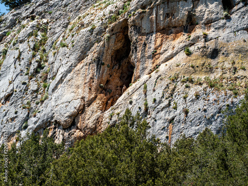 Fotografie A wide shot of a massive, textured limestone rock wall with a deep cave opening, where a small griffon vulture rests safely on a high mountain ledge above green forest treetops