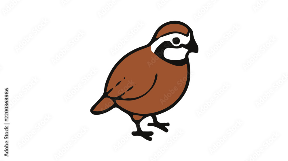 Fototapeta premium Northern Bobwhite Create A Clean Is isometric vector icon clean minimal design