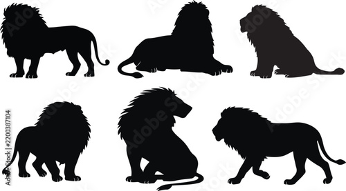Lion silhouette collection, set of 6 wild animal vector shapes, majestic male lions in standing and sitting poses, african safari wildlife graphics on transparent background