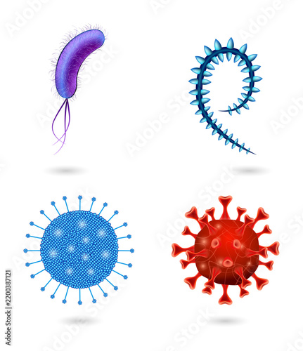 Set of colorful microscopic bacteria isolated on a transparent background
