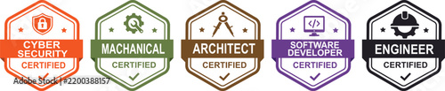 Professional certification badges set, 5 colorful hexagon labels for cyber security and engineering, architect and software developer icons on transparent background