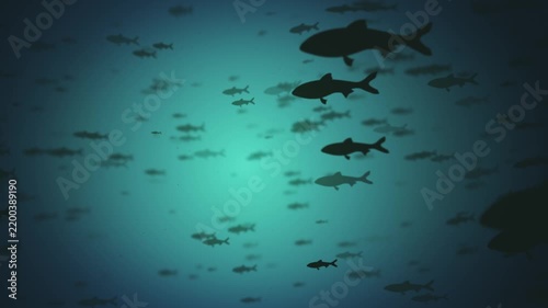 Fishes Silhouettes Passing Underwater Background
Nature animation background of fishes swimming into ocean with depth of field