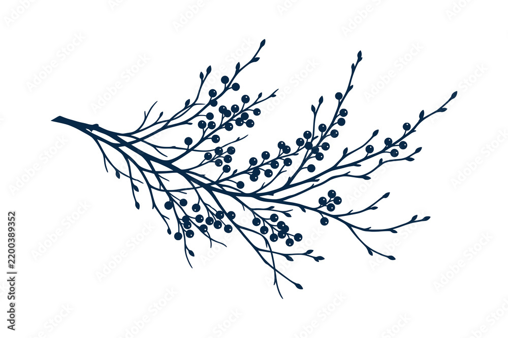 Obraz premium Elegant dark blue winter branch with berries illustration vector on isolated white background
