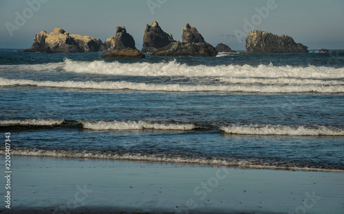 beach in the morning