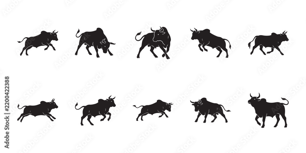Fototapeta premium Herd of boran cattle. Pack of isolated boran zebu silhouettes showing various poses for livestock dairy projects. 