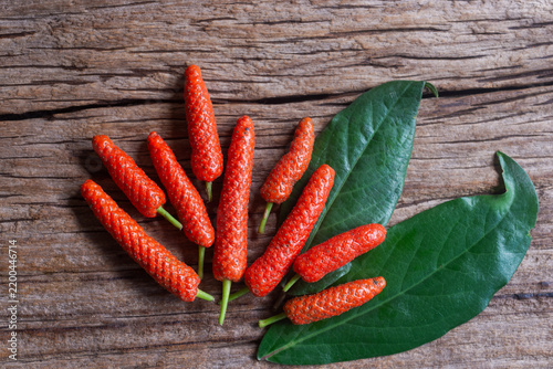 Fresh red long pepper spikes on rustic wood background