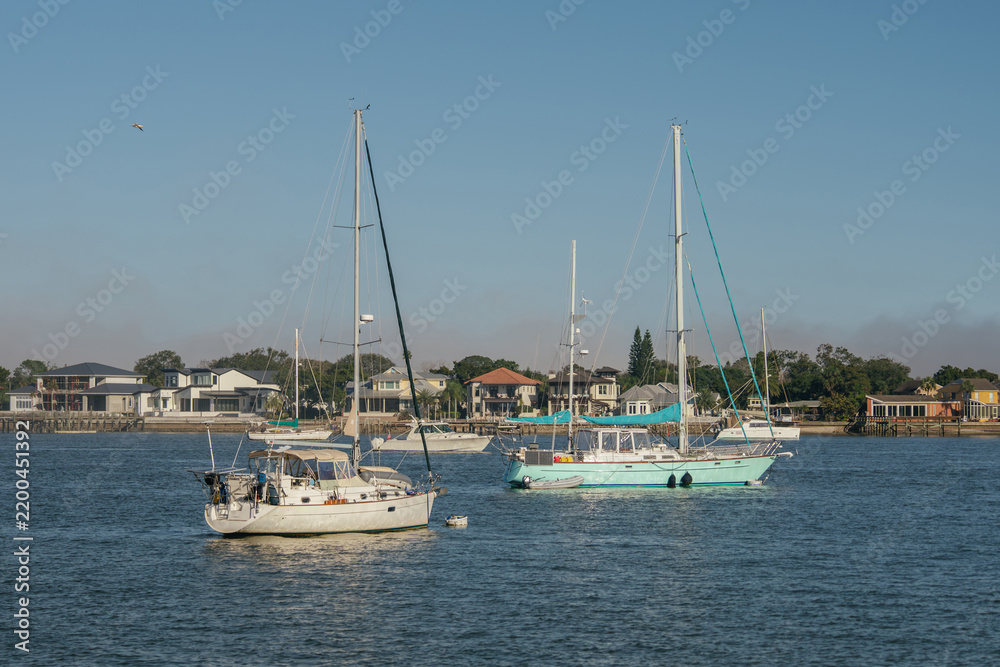 Obraz premium White and turquoise sailboats float on calm blue water near Saint Augustine, Florida. Waterfront homes and tropical trees line the distant shoreline behind the anchored vessels.