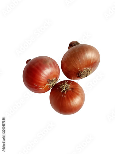 Three fresh red onions isolated on a black background showcasing their natural form and color