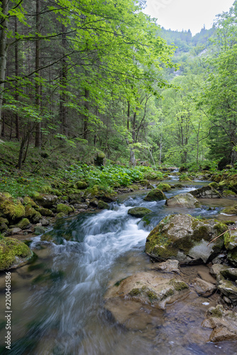 Kvacianska valley in spring time, Chocske vrchy, Slovakia