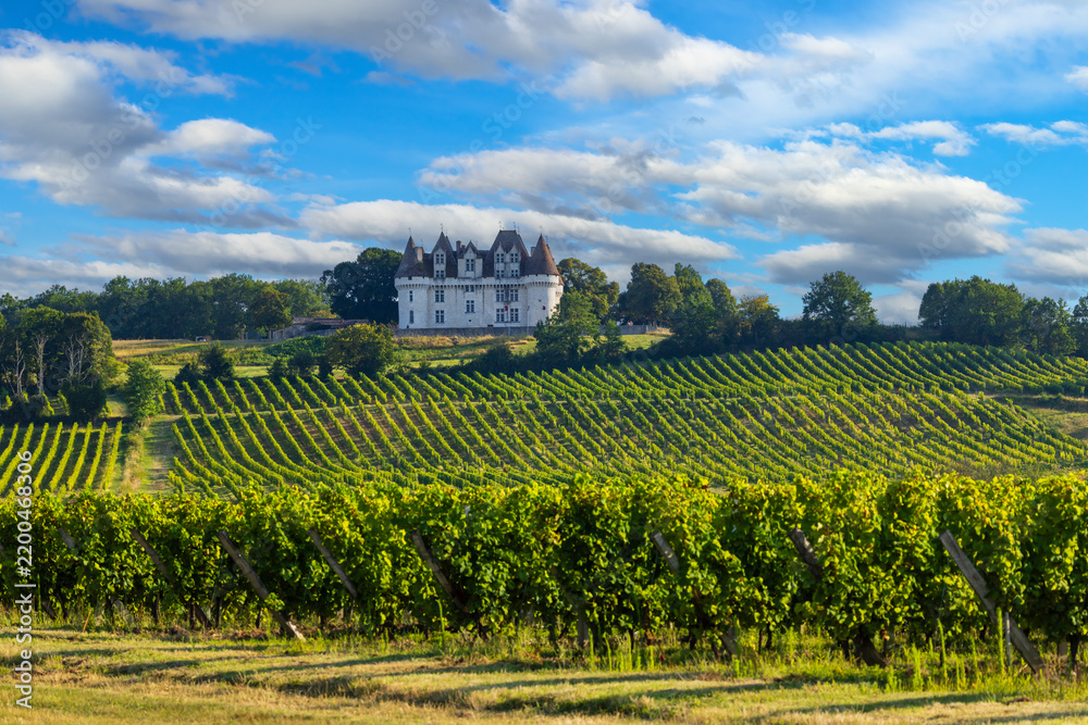 Obraz premium Chateau Monbazillac ( Monbazillac castle) with vineyards, Aquitaine, France